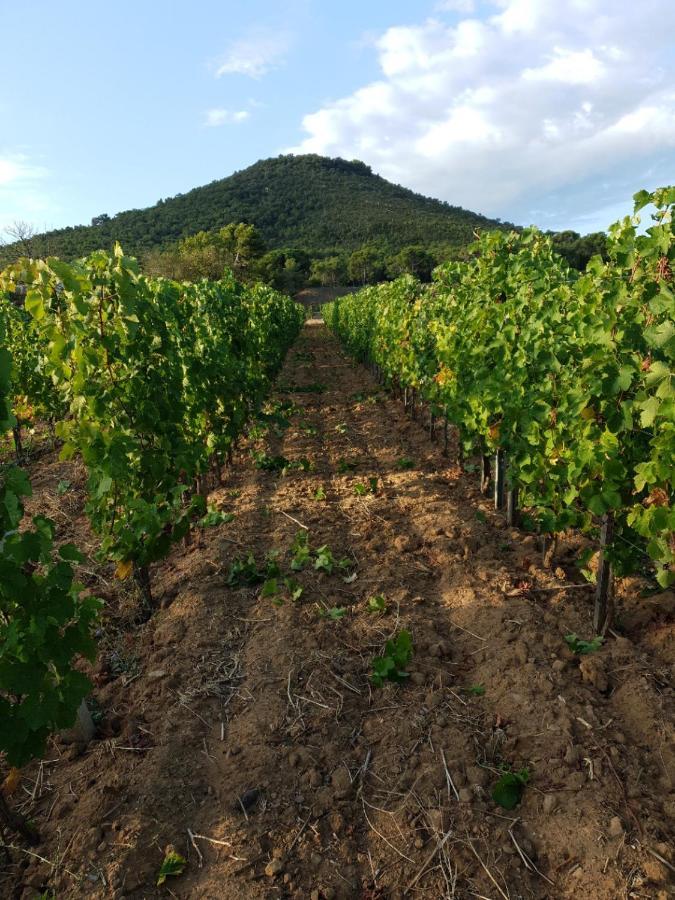 Domaine De La Navicelle Villa Le Pradet Eksteriør billede